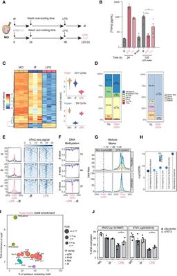 JAK2-STAT Epigenetically Regulates Tolerized Genes in Monocytes in the First Encounter With Gram-Negative Bacterial Endotoxins in Sepsis